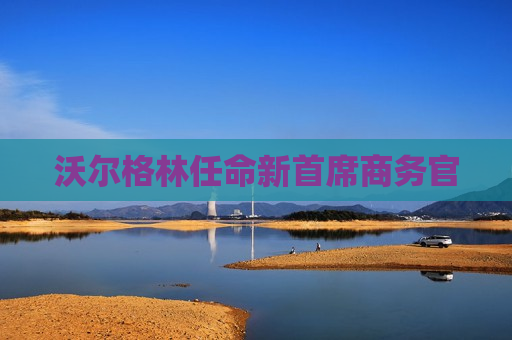 沃尔格林任命新首席商务官