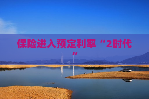 保险进入预定利率“2时代”  第1张
