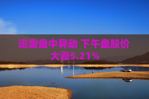 迅雷盘中异动 下午盘股价大涨5.21%