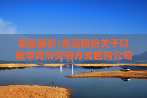 龙迅股份:龙迅股份关于以集中竞价交易方式回购公司股份实施结果暨股份变动的公告