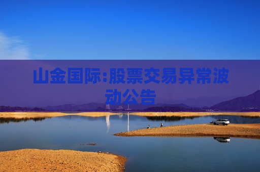 山金国际:股票交易异常波动公告