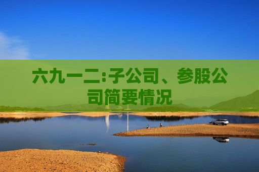 六九一二:子公司、参股公司简要情况