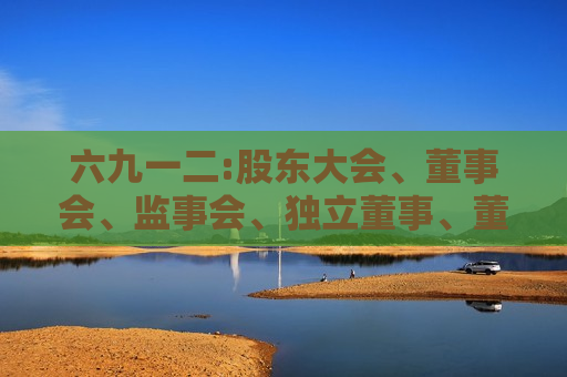 六九一二:股东大会、董事会、监事会、独立董事、董事会秘书制度的建立健全及运行情况说明