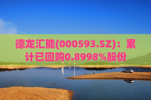 德龙汇能(000593.SZ)：累计已回购0.8998%股份