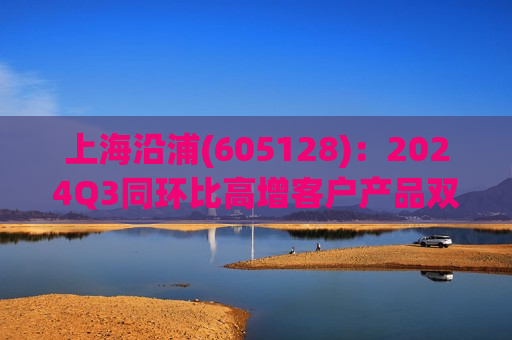 上海沿浦(605128)：2024Q3同环比高增客户产品双维拓展