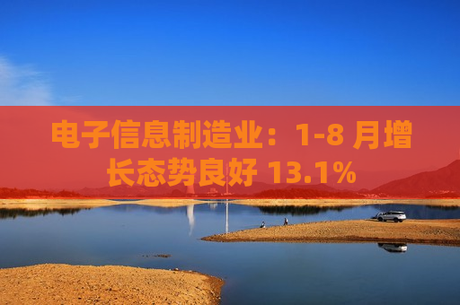 电子信息制造业：1-8 月增长态势良好 13.1%