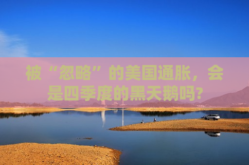被“忽略”的美国通胀，会是四季度的黑天鹅吗?  第1张