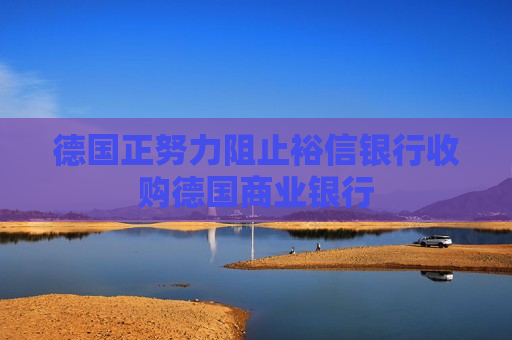 德国正努力阻止裕信银行收购德国商业银行