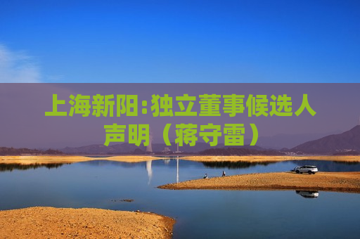 上海新阳:独立董事候选人声明（蒋守雷）