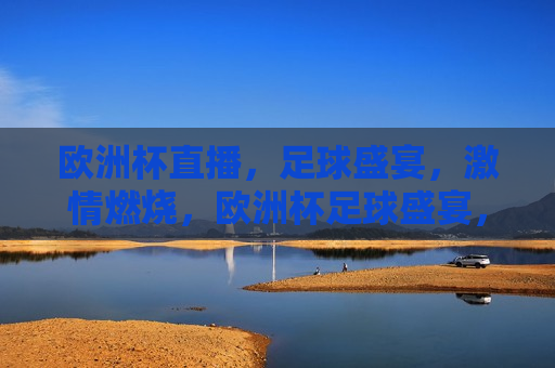 欧洲杯直播，足球盛宴， *** 燃烧，欧洲杯足球盛宴， *** 燃烧之夜，欧洲杯足球盛宴， *** 燃烧之夜