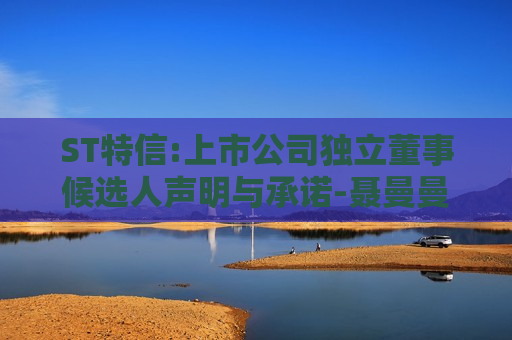 ST特信:上市公司独立董事候选人声明与承诺-聂曼曼