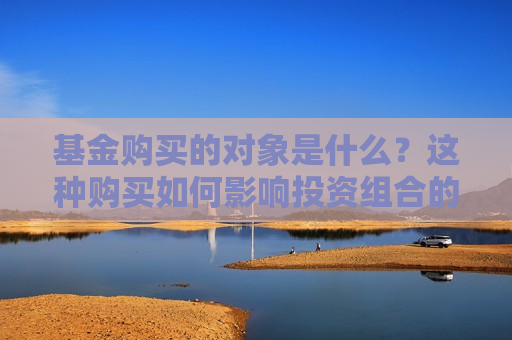 基金购买的对象是什么？这种购买如何影响投资组合的多样性？