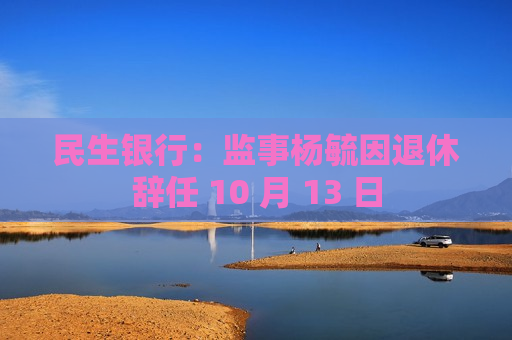 民生银行：监事杨毓因退休辞任 10 月 13 日