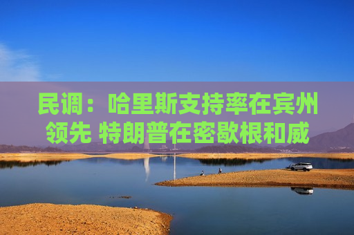 民调：哈里斯支持率在宾州领先 特朗普在密歇根和威斯康星州领跑  第1张