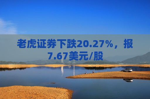 老虎证券下跌20.27%，报7.67美元/股