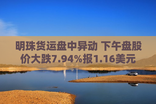 明珠货运盘中异动 下午盘股价大跌7.94%报1.16美元