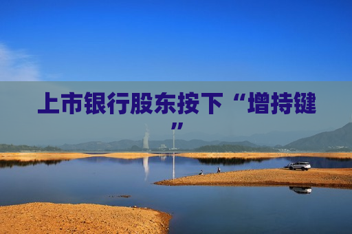 上市银行股东按下“增持键”  第1张