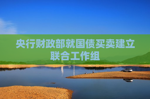 央行财政部就国债买卖建立联合工作组