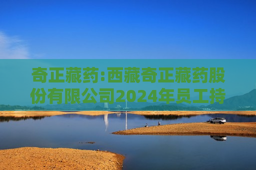 奇正藏药: *** 奇正藏药股份有限公司2024年员工持股计划（草案修订稿）