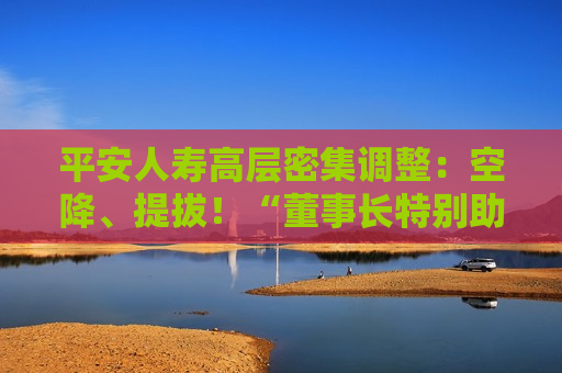 平安人寿高层密集调整：空降、提拔！“董事长特别助理”成晋升通道？