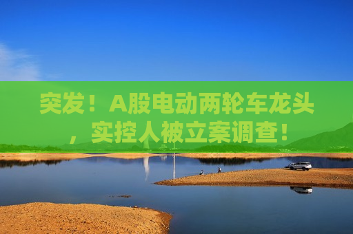 突发！A股电动两轮车龙头，实控人被立案调查！  第1张