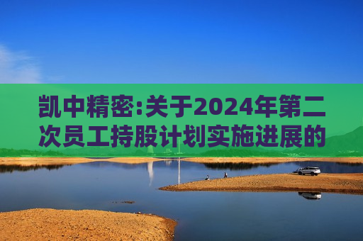 凯中精密:关于2024年第二次员工持股计划实施进展的公告