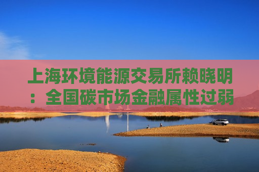 上海环境能源交易所赖晓明：全国碳市场金融属性过弱，需要适当增加