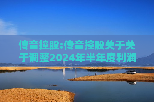 传音控股:传音控股关于关于调整2024年半年度利润分配现金分红总额的公告
