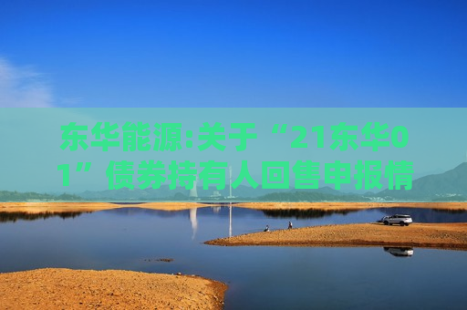 东华能源:关于“21东华01”债券持有人回售申报情况的公告