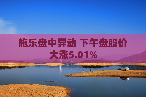 施乐盘中异动 下午盘股价大涨5.01%