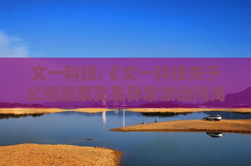 文一科技:《文一科技关于公司股票交易异常波动问询函》的回复（实控人）
