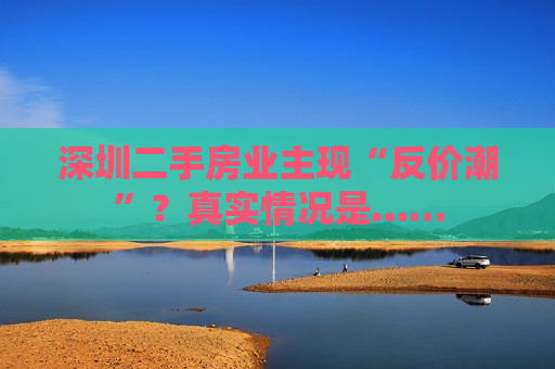 深圳二手房业主现“反价潮”？真实情况是……