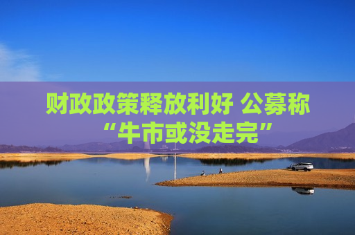 财政政策释放利好 公募称“牛市或没走完”