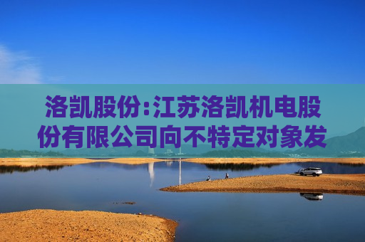 洛凯股份:江苏洛凯机电股份有限公司向不特定对象发行可转换公司债券募集说明书