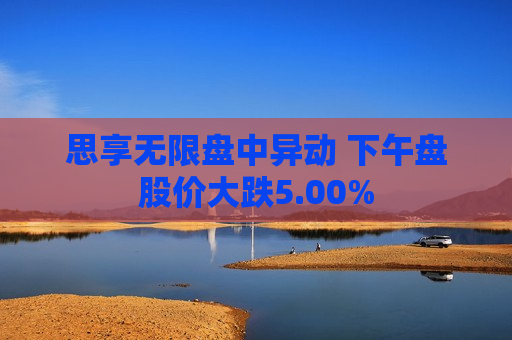 思享无限盘中异动 下午盘股价大跌5.00%