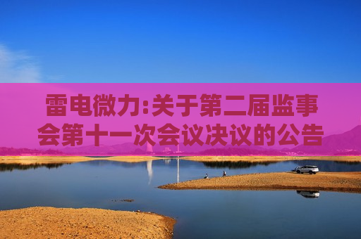 雷电微力:关于第二届监事会第十一次会议决议的公告