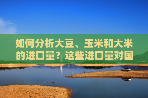 如何分析大豆、玉米和大米的进口量？这些进口量对国内市场有何影响？