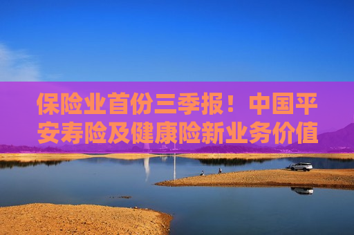 保险业首份三季报！中国平安寿险及健康险新业务价值同比增34% 行业评价：权益投资比例仍有较大提升空间