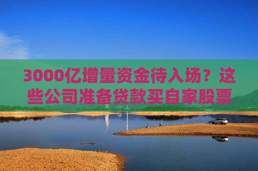 3000亿增量资金待入场？这些公司准备贷款买自家股票