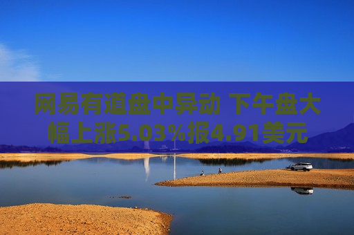 网易有道盘中异动 下午盘大幅上涨5.03%报4.91美元