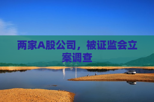 两家A股公司，被 *** 立案调查
