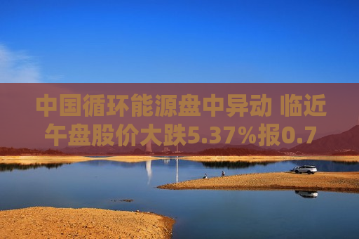 中国循环能源盘中异动 临近午盘股价大跌5.37%报0.720美元