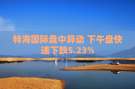 特海国际盘中异动 下午盘快速下跌5.23%  第1张