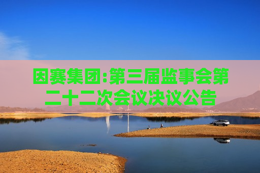 因赛集团:第三届监事会第二十二次会议决议公告