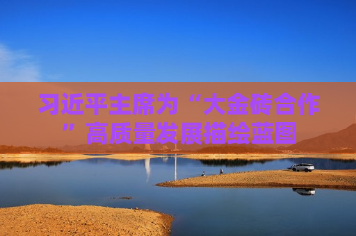  *** 主席为“大金砖合作”高质量发展描绘蓝图