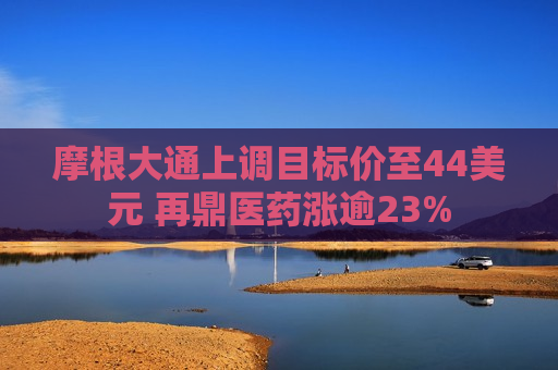 摩根大通上调目标价至44美元 再鼎医药涨逾23%  第1张
