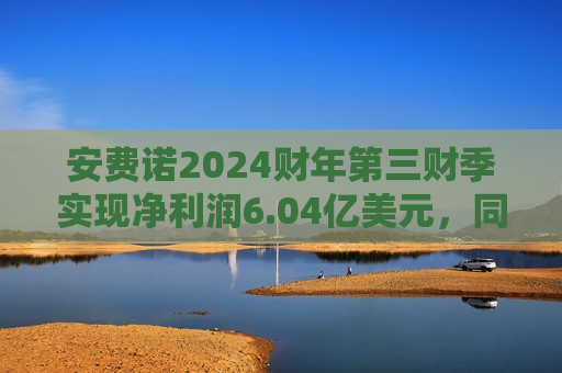 安费诺2024财年第三财季实现净利润6.04亿美元，同比增加17.51%