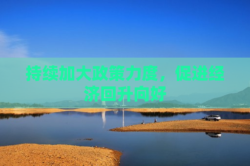 持续加大政策力度，促进经济回升向好