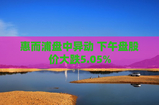 惠而浦盘中异动 下午盘股价大跌5.05%