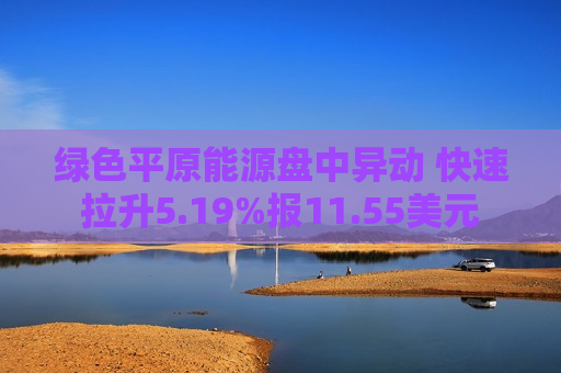 绿色平原能源盘中异动 快速拉升5.19%报11.55美元